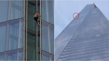 A daredevil has scaled London's tallest building with no safety harness.