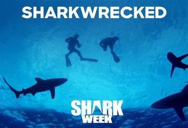 Sharkwrecked