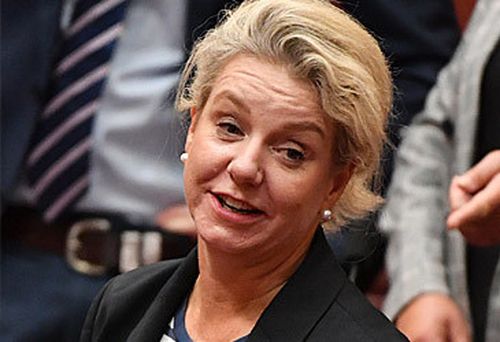 Bridget McKenzie (AAP)