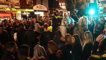 Mounted police watch over Tigers fans celebrating their team's victory.