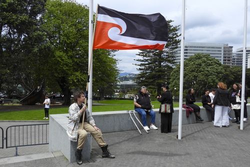 Protester against the Treaty Principles Bill 