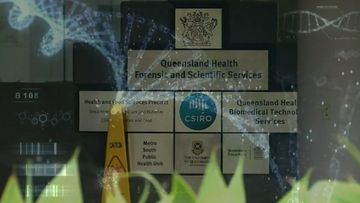 Inquiry into Queensland&#x27;s forensic DNA lab bungle continues.
