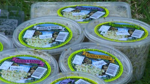 Salmonella outbreak linked to alfalfa sprout products