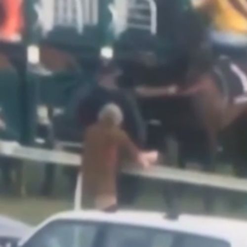 The handler who appears to punch the horse has been stood down. (Twitter)