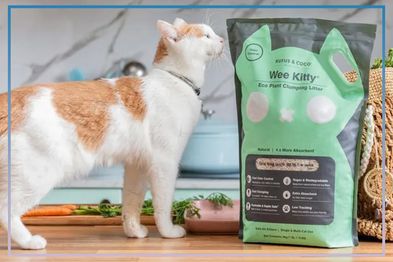 9PR: Rufus & Coco Wee Kitty Eco Plant Clumping Litter
