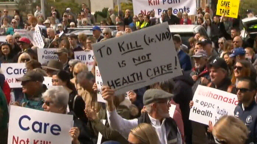 Protesters took to the steps of parliament to rally against the bill. 