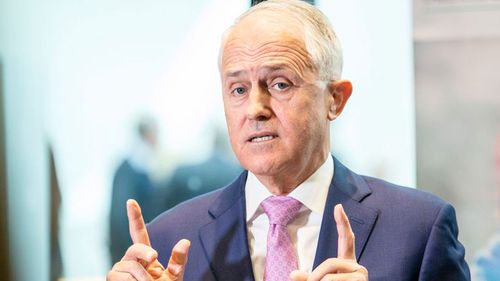 Critics of Malcolm Turnbull's energy policy claim it won't bring down prices.