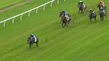 Winx makes it 16 in a row