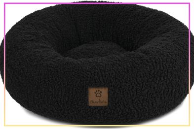 9PR: Dog beds