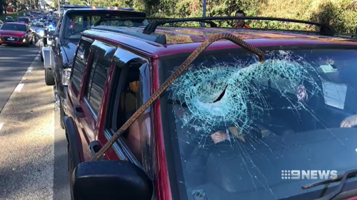 Mr Sant's front windscreen was pierced by a metal rod that fell off a passing truck.