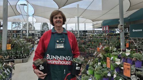 Bunnings came in second place, perhaps due to the sausage sizzles.