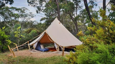blue mountains home for sale glamping tent domain