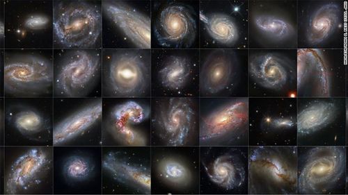 Multiple galaxies that are are all hosts to Chepheid variables. 