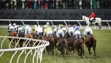 The field runs past the post for the first time in race 7 the Lexus Melbourne Cup.