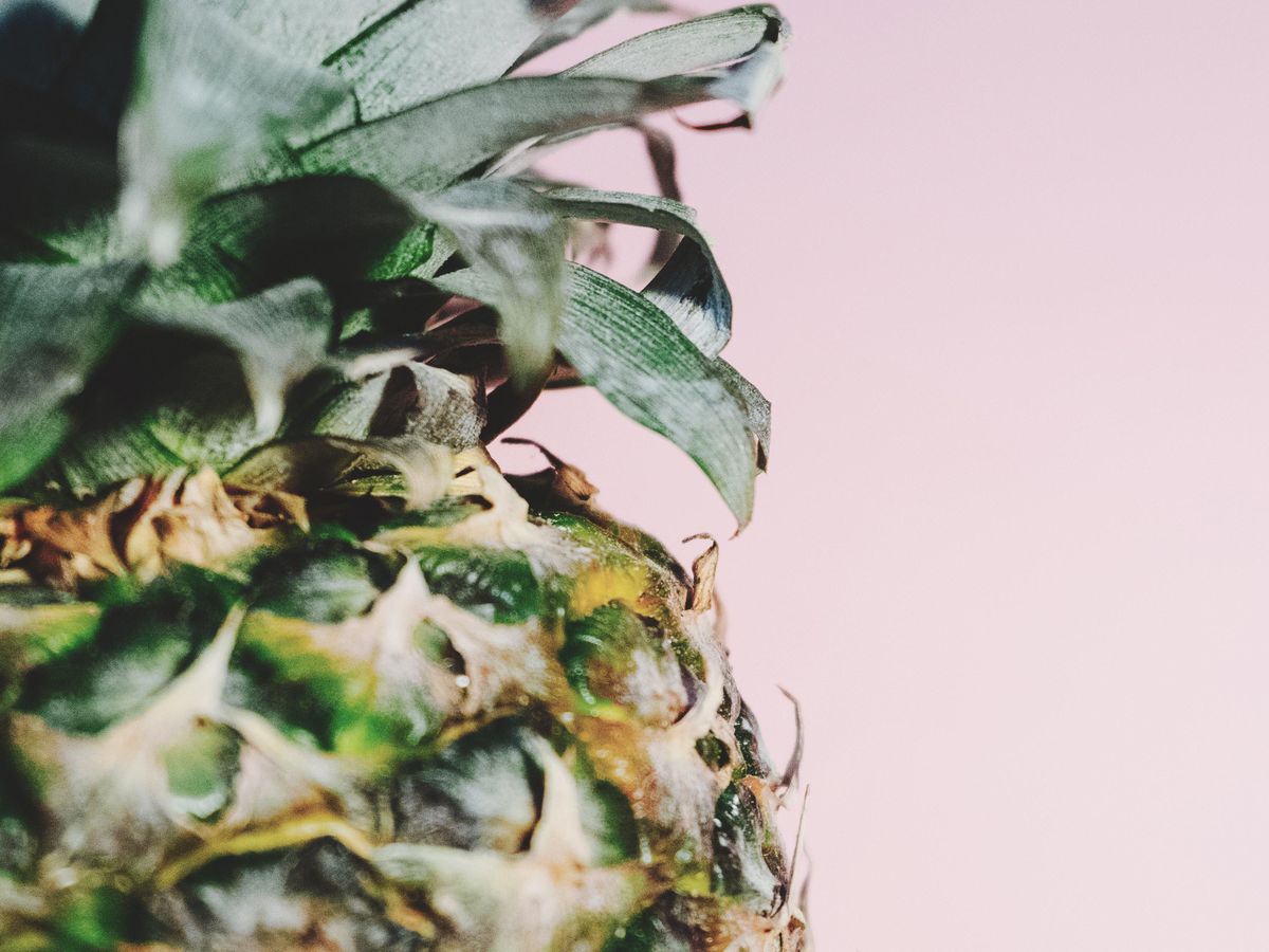 The trendy-looking plant that NASA says could cure snoring