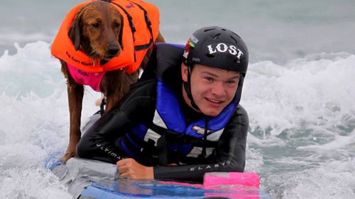 Rejected service dog now surfs with people with disabilities