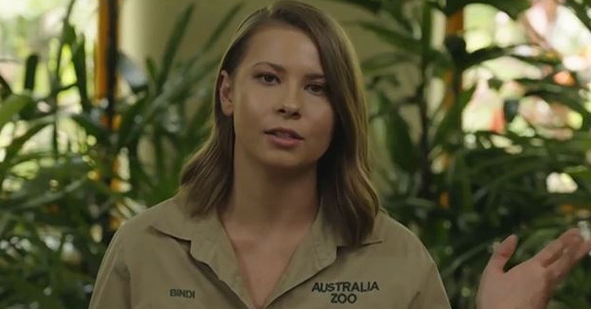 Bindi Irwin rushed into emergency surgery hours before Steve Irwin Gala