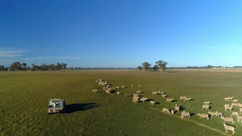 The council wanted the land to build a business park.