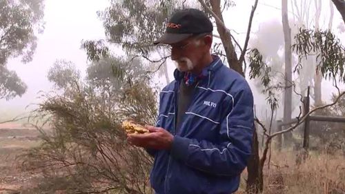 Syd Pearson with a replica of his 4.3kg gold nugget. (9NEWS)