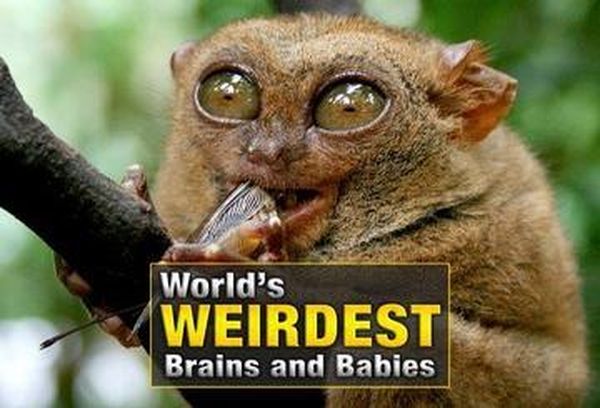 World's Weirdest Brains & Babies