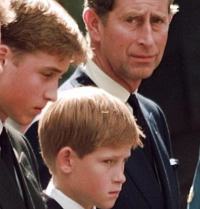 Prince Harry Diana's funeral