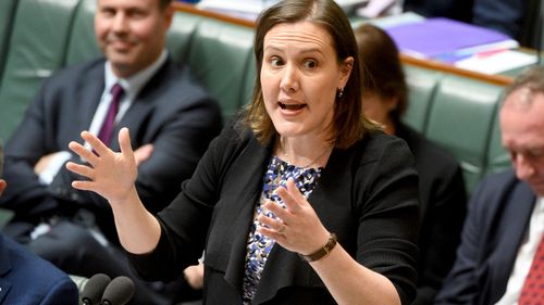 Kelly O'Dwyer is the first Australian cabinet minister to have a baby while in office.