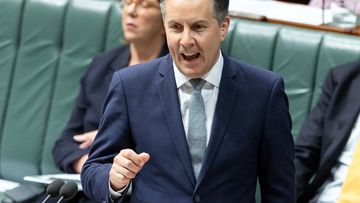 Health Minister Mark Butler during Question Time.