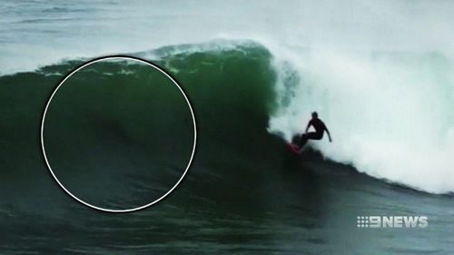 A shadow can be seen close to a surfer in the Margaret River Pro last week. (9NEWS)