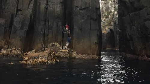 Six people have been rescued from a Tasmanian rock climbing site.