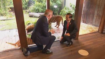 Prime minister Anthony Albanese and Indonesian president Joko Widodo have toured Sydney&#x27;s Taronga Zoo to strengthen diplomatic ties between the countries.