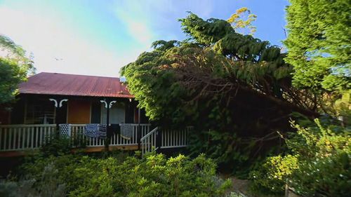 A tree smashed through the roof of a home on Tamborine mountain.