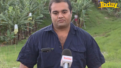 Paul Shoker in Coffs Harbour said the wet summer and labour shortage has made it hard for farmers to harvest their crops.