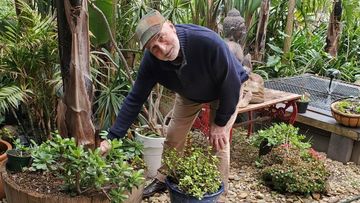 Glenn Diamond developed a Buruli ulcer after gardening at his home on the Mornington Peninsula.