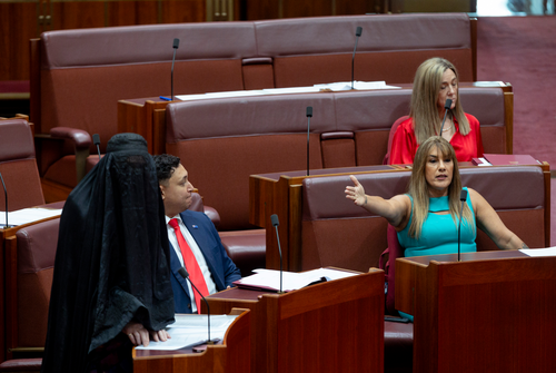 Senator Lidia Thorpe reacts to Senator Pauline Hanson wearing a burqa in the Senate at Parliament House in Canberra  on November 24, 2025. fedpol Photo: Dominic Lorrimer