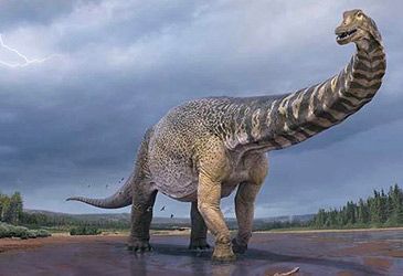 Discovered in 2007, which dinosaur was recognised as Australia's largest this week?