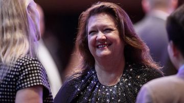 Gina rinehart afr rich list with children