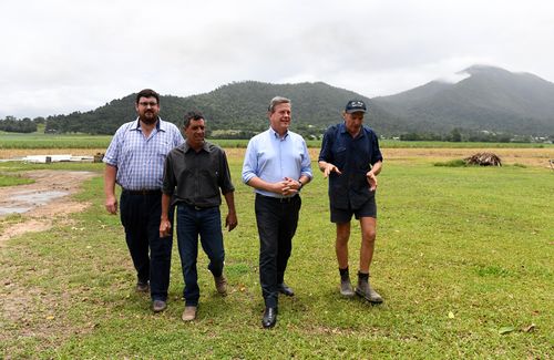 Mr Nicholls (second right), joined by LNP candidate for Hill Mario Quagliata (second left), and the Member for Hinchinbrook Andrew Cripps (left), tours banana and sugar cane farmer Andrew Apap's (right) property in Tully yesterday. (AAP)