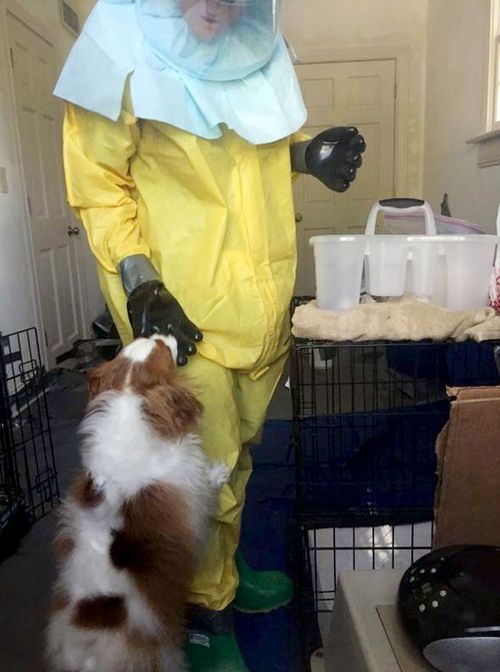 Bentley interacts with a person wearing a HAZMAT suit as they investigate the apartment of US nurse Nina Pham after she is diagnosed with Ebola. (Getty)