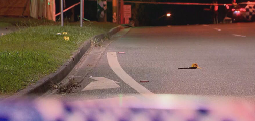 Un uomo presumibilmente armato di coltello è stato gravemente ferito dopo essere stato colpito dalla polizia a Logan.