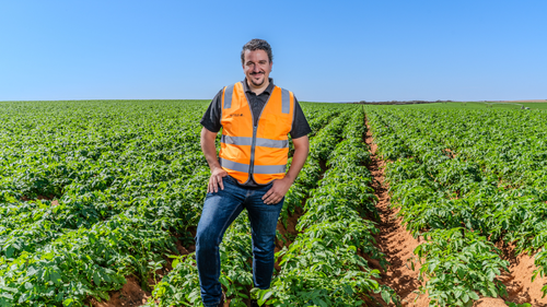 Mitolo Family Farms﻿ Chefe de Marketing e Vendas Josh Tselekidis.
