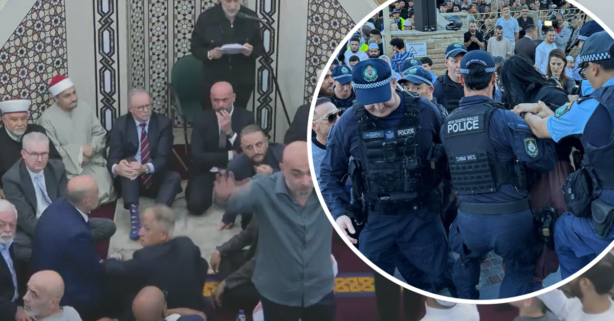 Albanese heckled, protester thrown out after commotion at Lakemba Mosque