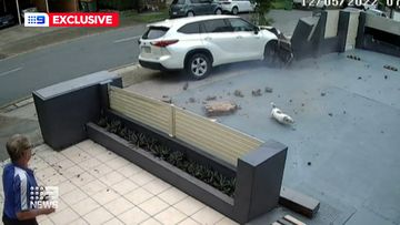 Man and dog nearly killed in Gold Coast car crash