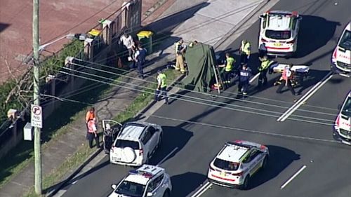 NSW police said the driver stopped immediately after the collision. (9NEWS)