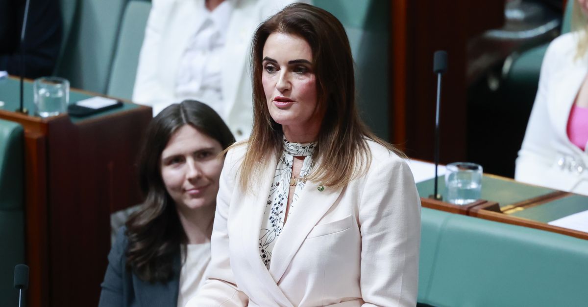 Labor MP to be investigated over suspected electoral breach