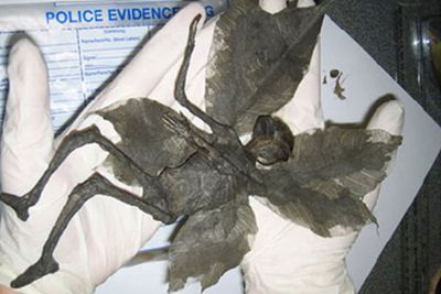 Photos of a "mummified fairy" appeared on a UK prop makers website, with the author claiming a dog walker had spotted the corpse, which had been deemed legitimate by anthropologists and forensic experts. <br/><P>Even when the fairy was revealed to be a hoax, fairy fans accused the prop maker of lying to cover up the magical truth.