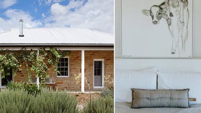 Inside Edwina Bartholomew S Modern Blue Mountains Cottage You Can