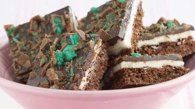 <strong>Choc mint slice</strong>