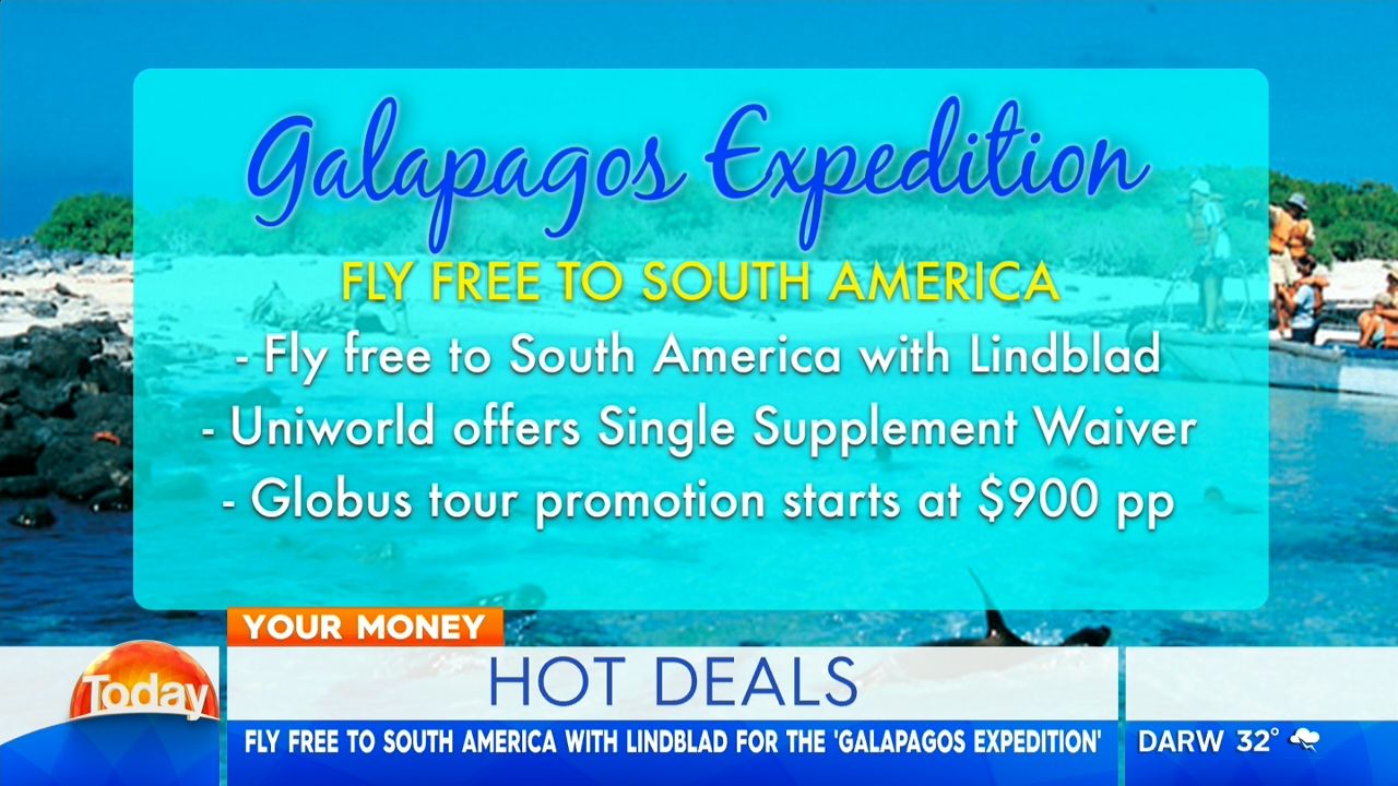 Network 3 deals