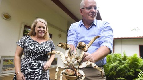 Scott Morrison yields a giant crab during his visit to Christmas Island.