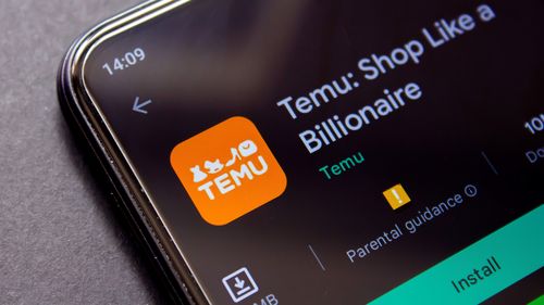 Temu has taken the global ecommerce market by storm